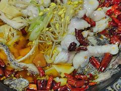 -金三可市井水煮鱼(金碧园店)