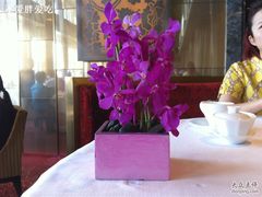 -金轩中餐厅 Jin Xuan(浦东丽思卡尔顿酒店)