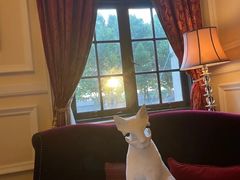 -Salon de Ville浦江汇(上海外滩华尔道夫酒店店)