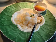 -醉庐·新上海菜(南京西路店)