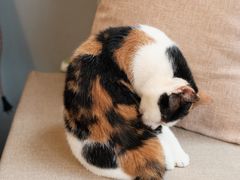 -转山咖啡(松柏社区店)