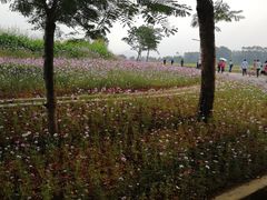 -光明小镇欢乐田园