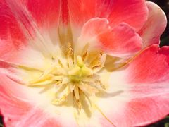 -长春公园(普阳街道)