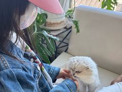 -小时光咖啡馆(北锣鼓巷店)