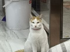 -好面道大肠面(中华路店)