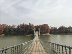 -东湖落雁景区