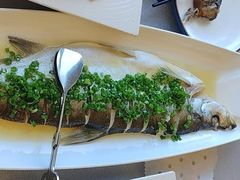 -便宜坊烤鸭店(科创店)