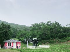 -大连铭湖国际观光牧场