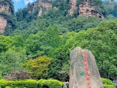 -业华湘·特色菜
