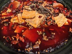 -鸽子窝(青塔店)