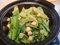 -拈菜(观音桥阳光世纪店)