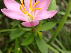 -南宁花花大世界景区