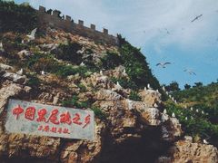 -海驴岛(荣成市)