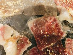 -猫爪爪原切自助烤肉(观音桥阳光世纪店)