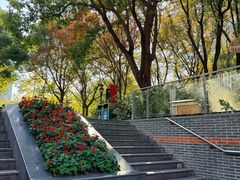 -椒锅锅·麻辣香锅(宝地广场城市集市店)