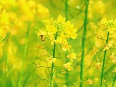 -福州大学(旗山校区)