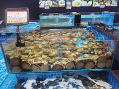 -名人名家     浙菜.家宴