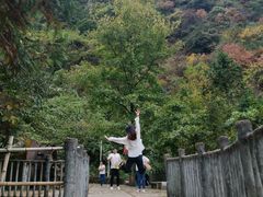 -遂昌金矿国家矿山公园