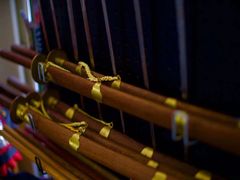 -国际咏春拳联合会拳馆俱乐部