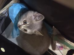 -派特宠物医院(圆融广场店)