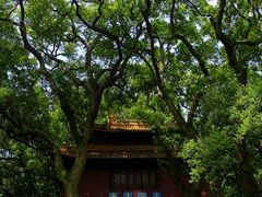 -普陀山风景名胜区-法雨禅寺
