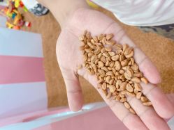 -宝贝渡口儿童游乐园(华南安盛店)