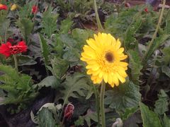 万达国际影城(锦华店)-万达影城(锦华万达广场IMAX店)