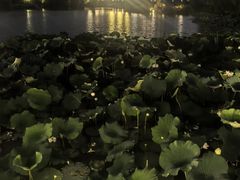 -南通濠河风景名胜区