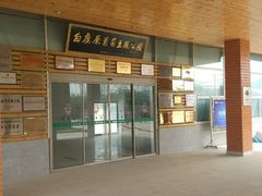 -白鹿原葡萄主题公园