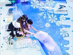 -上海海昌海洋公园-冰山北极馆