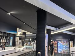 -奥斯卡升龙国际影城(RealD Cinema)