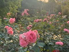 -人民公园(罗湖区)