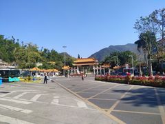 -深圳仙湖植物园-停车场