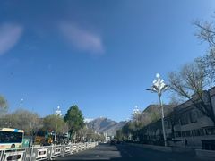 -田村·石锅藏香鸡(布达拉宫店)