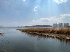 -洱海月湿地公园