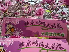 -大鸭梨烤鸭(望京店)