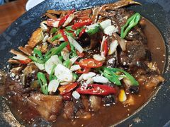 -呼吸森林·生态农庄农家乐私房菜