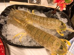 -鲜入围煮花胶鸡海鲜火锅