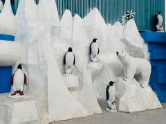 -白鹿仓冰雪海洋世界