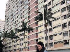 -彩虹村