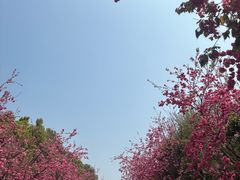 -洛龙公园