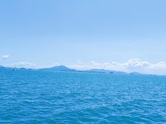 -广东惠东海龟国家级自然保护区