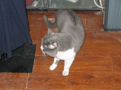 -不作·手工银饰DIY(西红门店)