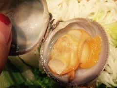 -CYCLO(158坊店)