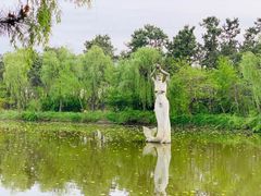 -日照海滨国家森林公园