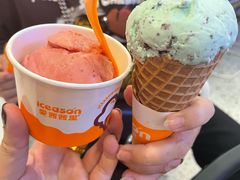 -iceason爱茜茜里·意大利健康冰淇淋(骑龙巷店)
