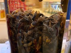 -野菌皇海景野生菌火锅(滨海大道店)