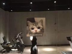 -威尔仕健身(杭州万象城店)