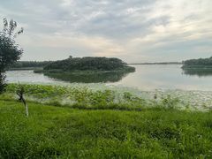 -丁香湖公园