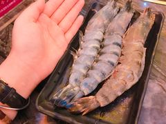 -熊出没日本烧肉放题